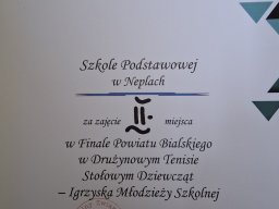 Drużynowy tenis stołowy dziewcząt i chłopców