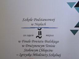 Drużynowy tenis stołowy dziewcząt i chłopców